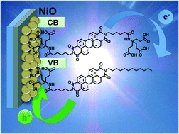 Graphical abstract: Nickel oxide nanostructured electrodes towards perylenediimide-based dye-sensitized solar cells