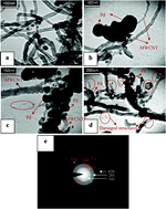 Graphical abstract: Hydrogen storage property of laser induced Pd-nanoparticle decorated multi-walled carbon nanotubes