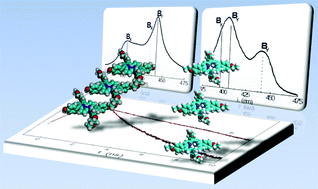 Graphical abstract: Role of the hydrogen-bond in porphyrin J-aggregates