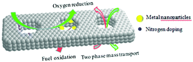 Graphical abstract: Mesoporous carbon with uniquely combined electrochemical and mass transport characteristics for polymer electrolyte membrane fuel cells