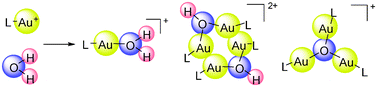 Graphical abstract: Identification of (phosphine)gold(i) hydrates and their equilibria in wet solutions