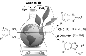 Graphical abstract: Catalysis by FeF3 in water: a green synthesis of 2-substituted 1,3-benzazoles and 1,2-disubstituted benzimidazoles