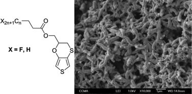 Graphical abstract: Analogy of morphology in electrodeposited hydrocarbon and fluorocarbon polymers