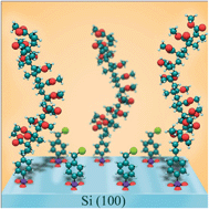 Graphical abstract: Covalent poly(methyl methacrylate) nanostructures on functionalized Si(100) surfaces