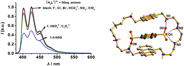 Graphical abstract: The recognition of 1,5-naphthalenedisulfonate by a protonated azamacrocyclic ligand