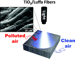 Graphical abstract: Immobilization of TiO2 nanoparticles on natural Luffa cylindrica fibers for photocatalytic applications