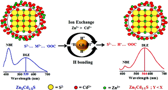 Graphical abstract: Surface ion engineering for tuning dual emission of ZnxCd1−xS nanocrystals