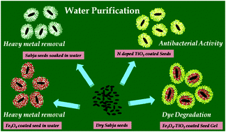 Graphical abstract: Nanoparticle-loaded multifunctional natural seed gel-bits for efficient water purification