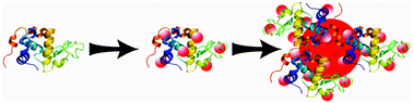 Graphical abstract: Tunable photophysical properties, conformation and function of nanosized protein–gold constructs