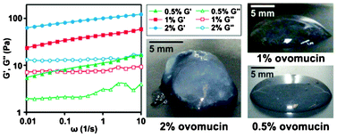 Graphical abstract: Egg white ovomucin gels: structured fluids with weak polyelectrolyte properties