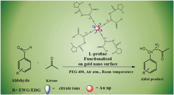 Graphical abstract: Aldol condensation in PEG-400 catalyzed by recyclable l-proline supported on nano gold surface