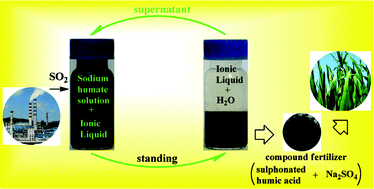 Graphical abstract: Removal of SO2 by a mixture of caprolactam tetrabutyl ammonium bromide ionic liquid and sodium humate solution