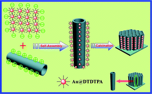 Graphical abstract: A novel route for self-assembly of gold nanoparticle–TiO2 nanotube array (Au/TNTs) heterostructure for versatile catalytic applications: pinpoint position via hierarchically dendritic ligand