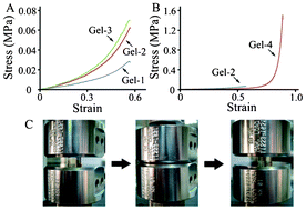 Graphical abstract: Preparation and characterization of a biodegradable hydrogel containing oligo(2,2-dimethyltrimethylene carbonate) moieties with tunable properties