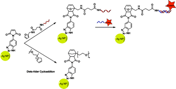 Graphical abstract: Functionalization of maleimide-coated silver nanoparticles through Diels–Alder cycloaddition