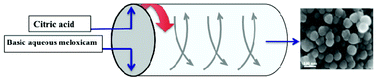 Graphical abstract: Suppressing regrowth of microfluidic generated drug nanocrystals using polyelectrolyte coatings