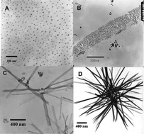 Graphical abstract: Ionic liquids as two-dimensional templates for the spontaneous assembly of copper nanoparticles into nanobelts and observation of an intermediate state