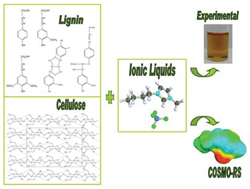 Graphical abstract: Relation between differential solubility of cellulose and lignin in ionic liquids and activity coefficients