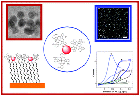 Graphical abstract: Synthesis of non-peripheral amine substituted nickel(ii) phthalocyanine capped gold nanoparticles and their immobilization on electrode for the electrocatalytic oxidation of hydrazine
