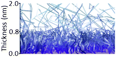 Graphical abstract: The structure and mass of heterogeneous thin films measured with dual polarization interferometry and ellipsometry