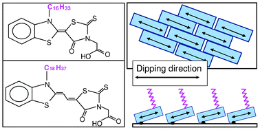 Graphical abstract: A comparative study of two amphiphilic merocyanines: from monomers to aggregates in Langmuir and Langmuir–Blodgett mixed films