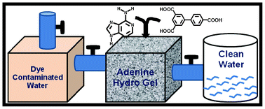 Graphical abstract: Removal of toxic dyes from aqueous medium using adenine based bicomponent hydrogel