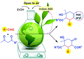 Graphical abstract: Indion 860 catalyzed cascade reaction: a greener approach to functionalized cyclohexanones and their novel analogues