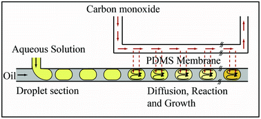 Graphical abstract: Dynamically tunable nanoparticle engineering enabled by short contact-time microfluidic synthesis with a reactive gas