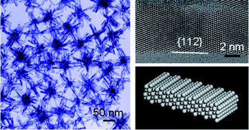 Graphical abstract: Highly branched Pt–Ni nanocrystals enclosed by stepped surface for methanol oxidation