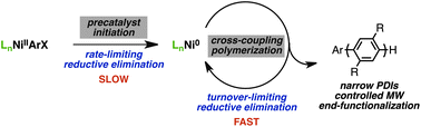 Graphical abstract: Effect of ligand electronic properties on precatalyst initiation and propagation in Ni-catalyzed cross-coupling polymerizations