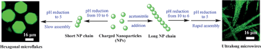 Graphical abstract: Shape-controlled self-assembly of colloidal nanoparticles