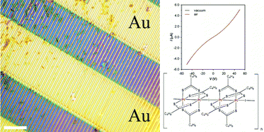 Graphical abstract: Patterned conductive nanostructures from reversible self-assembly of 1D coordination polymer