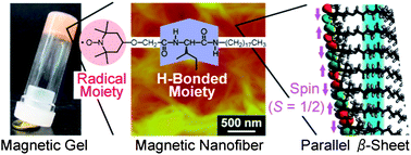 Graphical abstract: Supramolecular approach to the formation of magneto-active physical gels