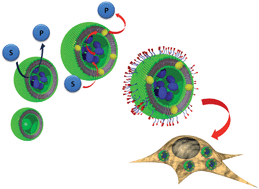 Graphical abstract: From polymeric nanoreactors to artificial organelles