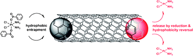 Graphical abstract: Platinum(iv) prodrugs entrapped within multiwalled carbon nanotubes: Selective release by chemical reduction and hydrophobicity reversal