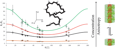 Graphical abstract: Insight into peptide self-assembly from anisotropic rotational diffusion derived from 13C NMR relaxation