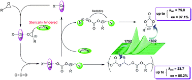 Graphical abstract: Role of the co-catalyst in the asymmetric coupling of racemic epoxides with CO2 using multichiral Co(iii) complexes: product selectivity and enantioselectivity