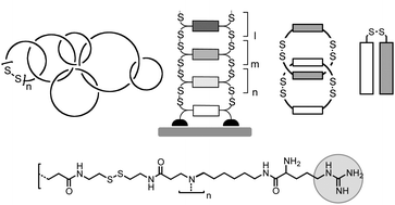 Graphical abstract: Poly(disulfide)s