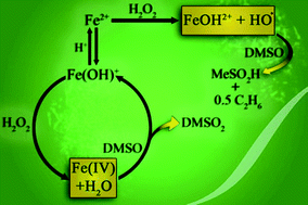 Graphical abstract: pH-induced mechanistic changeover from hydroxyl radicals to iron(iv) in the Fenton reaction