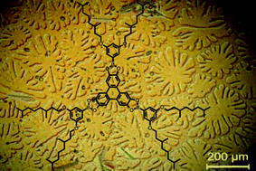 Graphical abstract: Boronic esters: a simple route to discotic liquid crystals that are electron deficient