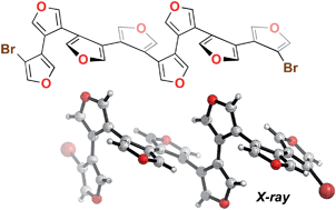 Graphical abstract: β-Oligofurans