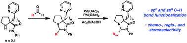 Graphical abstract: Molecular scaffolds with remote directing groups for selective palladium-catalyzed C–H bond functionalizations