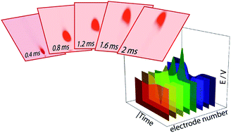 Graphical abstract: Bioaerosol detection using potentiometric tomography in flames