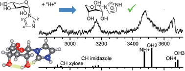 Graphical abstract: Conformational effects in sugar ions: spectroscopic investigations in the gas phase and in solution