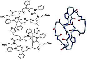 Graphical abstract: Twice tied tight: Enforcing conformational order in bicyclic peptoid oligomers