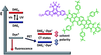 Graphical abstract: Terrylene bisimide-diarylethene photochromic switch