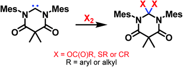 Graphical abstract: Retracted Article: Homonuclear bond activation using a stable N,N′-diamidocarbene