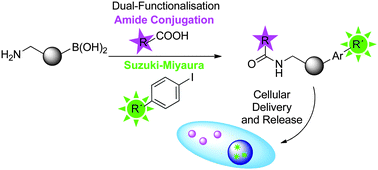 Graphical abstract: Palladium-mediated bioorthogonal conjugation of dual-functionalised nanoparticles and their cellular delivery