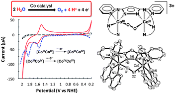 Graphical abstract: Cobalt analogs of Ru-based water oxidation catalysts: overcoming thermodynamic instability and kinetic lability to achieve electrocatalytic O2 evolution