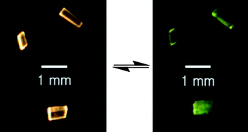 Graphical abstract: Inorganic topochemistry. Vapor-induced solid state transformations of luminescent, three-coordinate gold(i) complexes